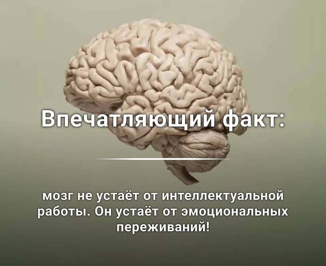 мозг не устаёт от интеллектуальной работы Он устаёт от эмоциональных переживаний