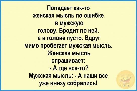 Попадает как то женская мысль по ошибке в мужскую голову Бродит по ней а в голове пусто Вдруг мимо пробегает мужская мысль Женская мысль спрашивает А где все то Мужская мысль А наши все уже внизу собрались