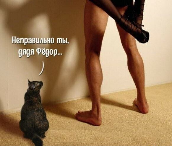 трафа ты я я епор