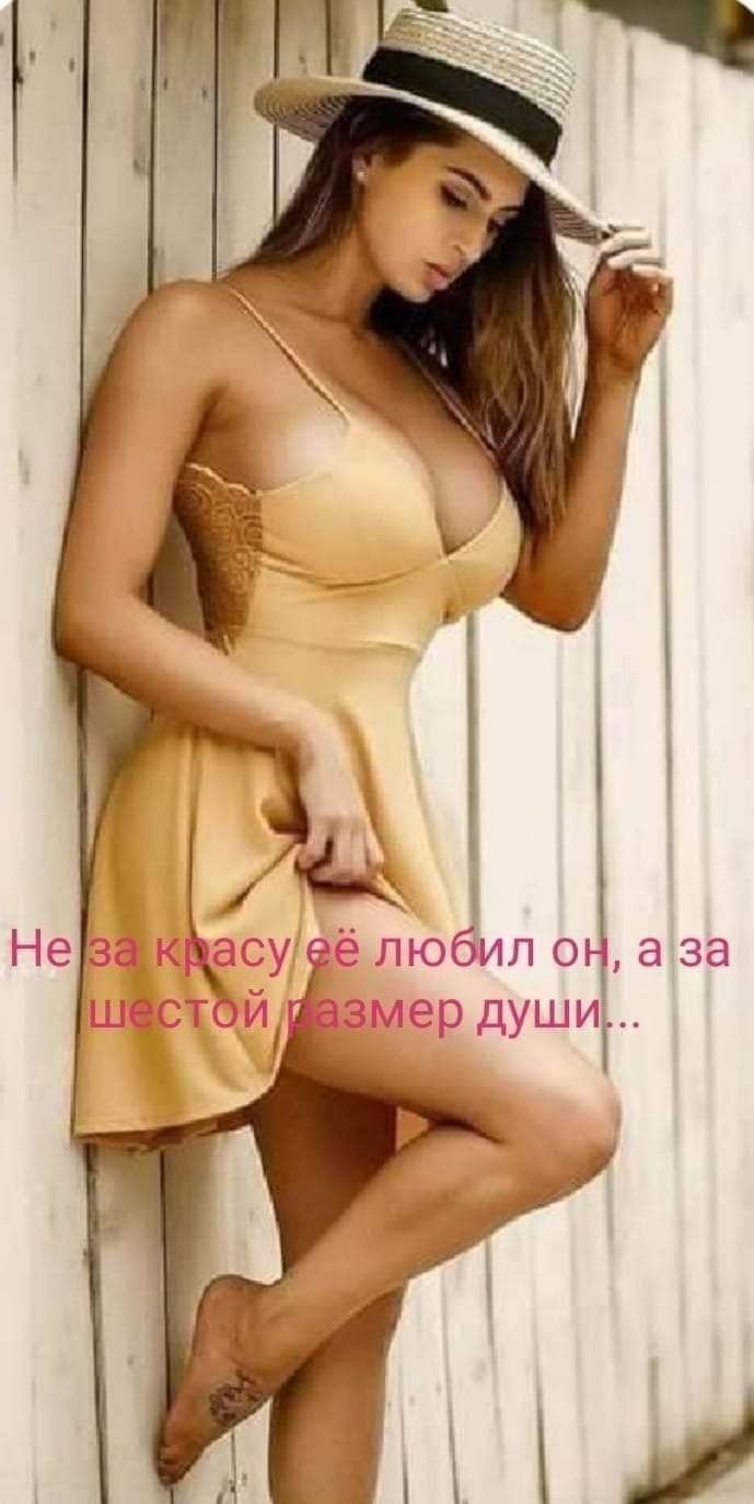 любил оз за в ёжики