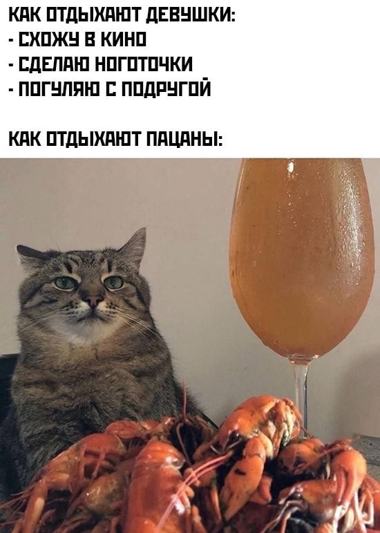 кпк птдыхпшт дЕВНШКИ пхпжн в кинп ЦдЕпдш нпгптпчки ппгнляш пилингпй КПК ПТДЫХПШТ ППЦПНЫ 7