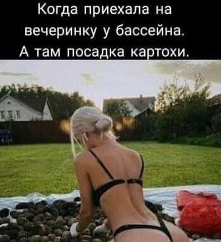 Когда приехала на вечеринку у бассейна А там посадка ка тохи