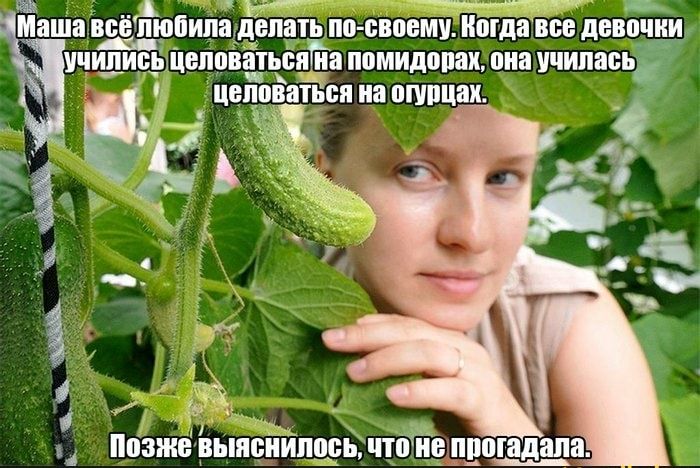 Ю Мата ВСЁ ЛЮПИПВДДЕПЁТБ 0 42808 МАЙ ВБВ дЕВПЕдЦ щеппватьсийа МИДОПЗШ ШШ училась цеппватЁся иа птицах кд Позже ВЫШШИПЩЗЬ ЧТЁЕ ЩШПЩШШ Х