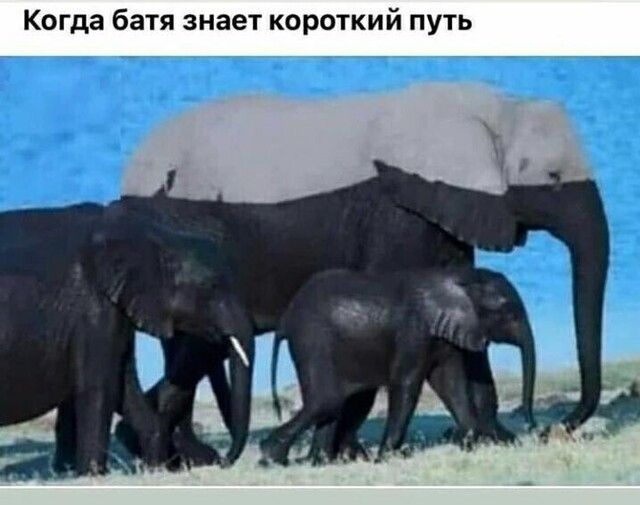 Когда батя знает короткий путь ч4 В М Р _