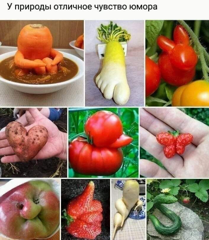 У природы ОТЛИЧНОЗ ЧУВСТВО юмора