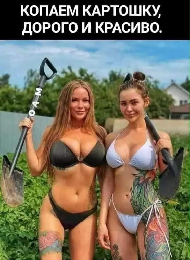 КОПАЕМ КАРТОШКУ ДОРОГО И КРАСИВО