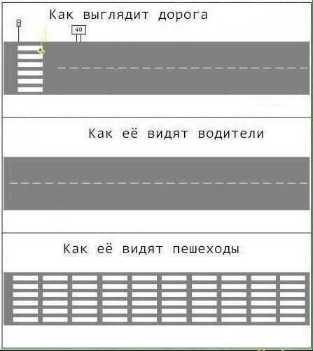 Как её видят водители Как её видят пешеходы