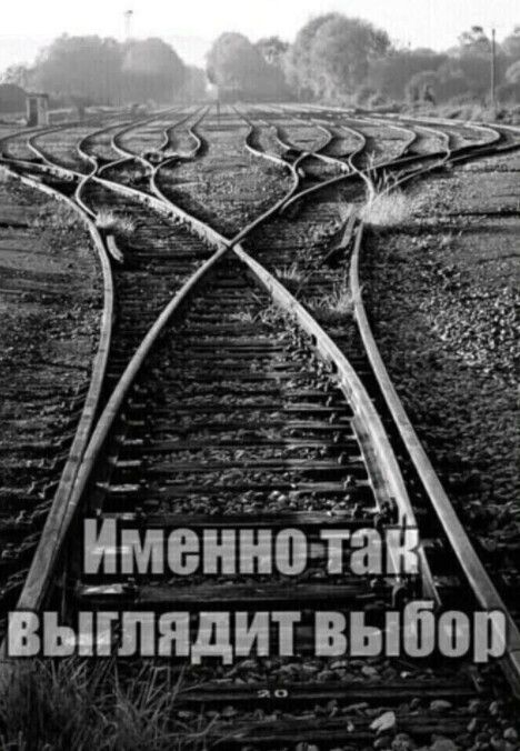 Шиннногта _ выгпядшдыбоц О
