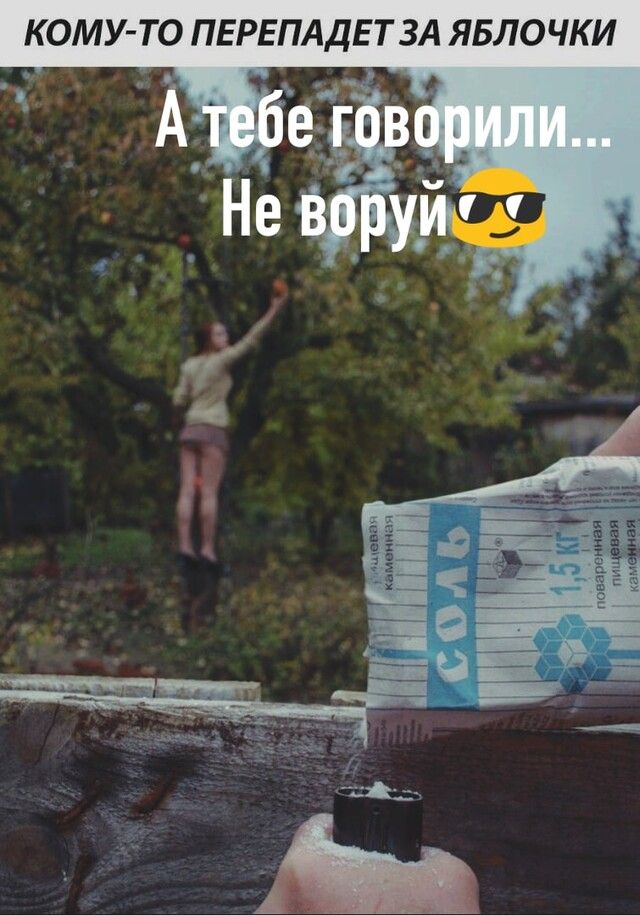 КОМУ ТО ПЕРЕПАДЕ Т ЗА ЯБЛО ЧК И