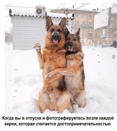 Копи ш пппусц Руппь пилы щин тори шипит штрипс шлюшки