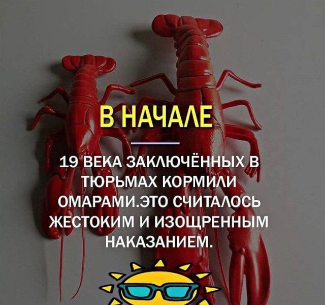 В НАЧААЁ 19 ВЕКА ЗАКАЮЧЁННЫХ В ТЮРЬМАХ КОРМИАИ ОМАРАМИ ЭТО СЧИТААОСЬ ЖЁСТОКИМ И ИЗОЩРЕННЫМ НАКАЗАНИЕМ А