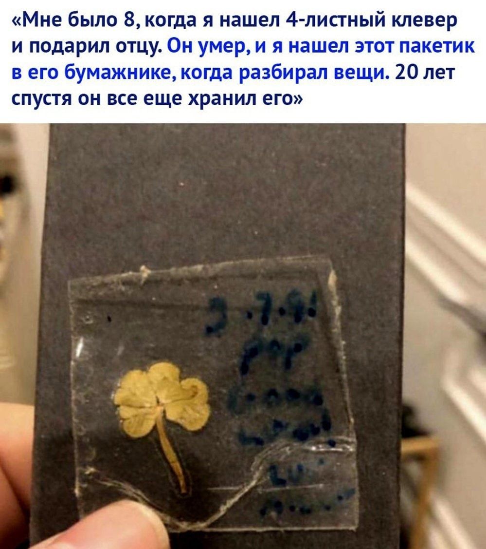Мне было 8 когда я нашел 4 листный клевер и подарил отцу спустя он все еще хранил его