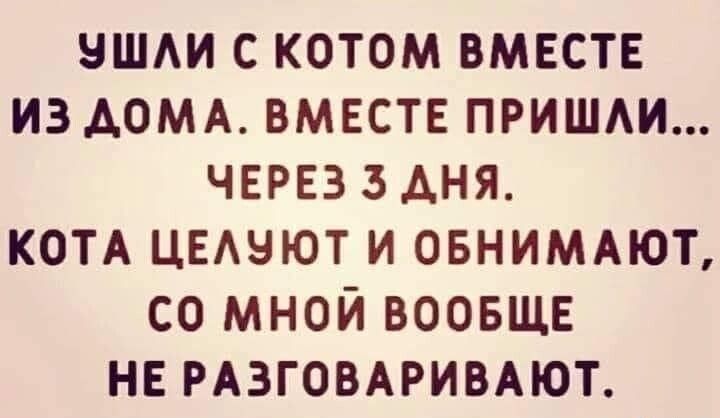 ншди с котом вместе из АОМА вместе пришди чврвз здня коп цышют и овнимлшт со мной ВООБЩЕ нв РАЗГОВАРИВАЮТ