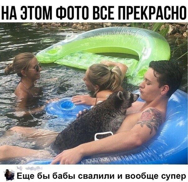 Еще бы бабы свалили и вообще супер