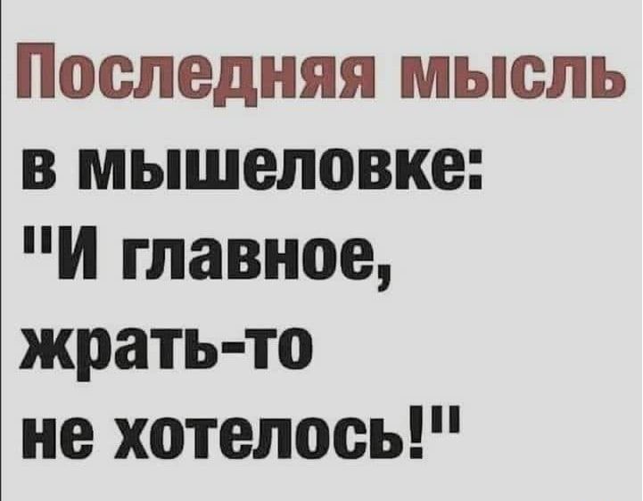 Последняя мысль в мышеловке И главное жрать то не хотелось