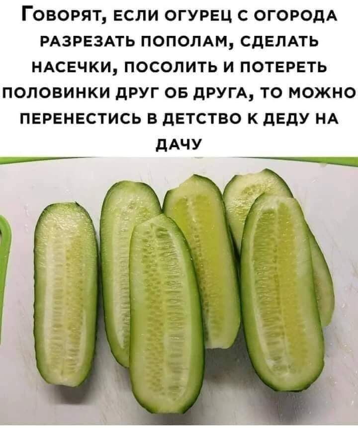 ГОВОРЯТ ЕСЛИ ОГУРЕЦ С ОГОРОДА РАЗРЕЗАТЬ ПОПОЛАМ СДЕЛАТЬ НАСЕЧКИ ПОСОЛИТЬ И ПОТЕРЕТЬ ПОЛОВИНКИ дРУГ ОБ дРУГА ТО МОЖНО ПЕРЕНЕСТИСЬ В дЕТСТВО К дЕдУ НА дАЧУ
