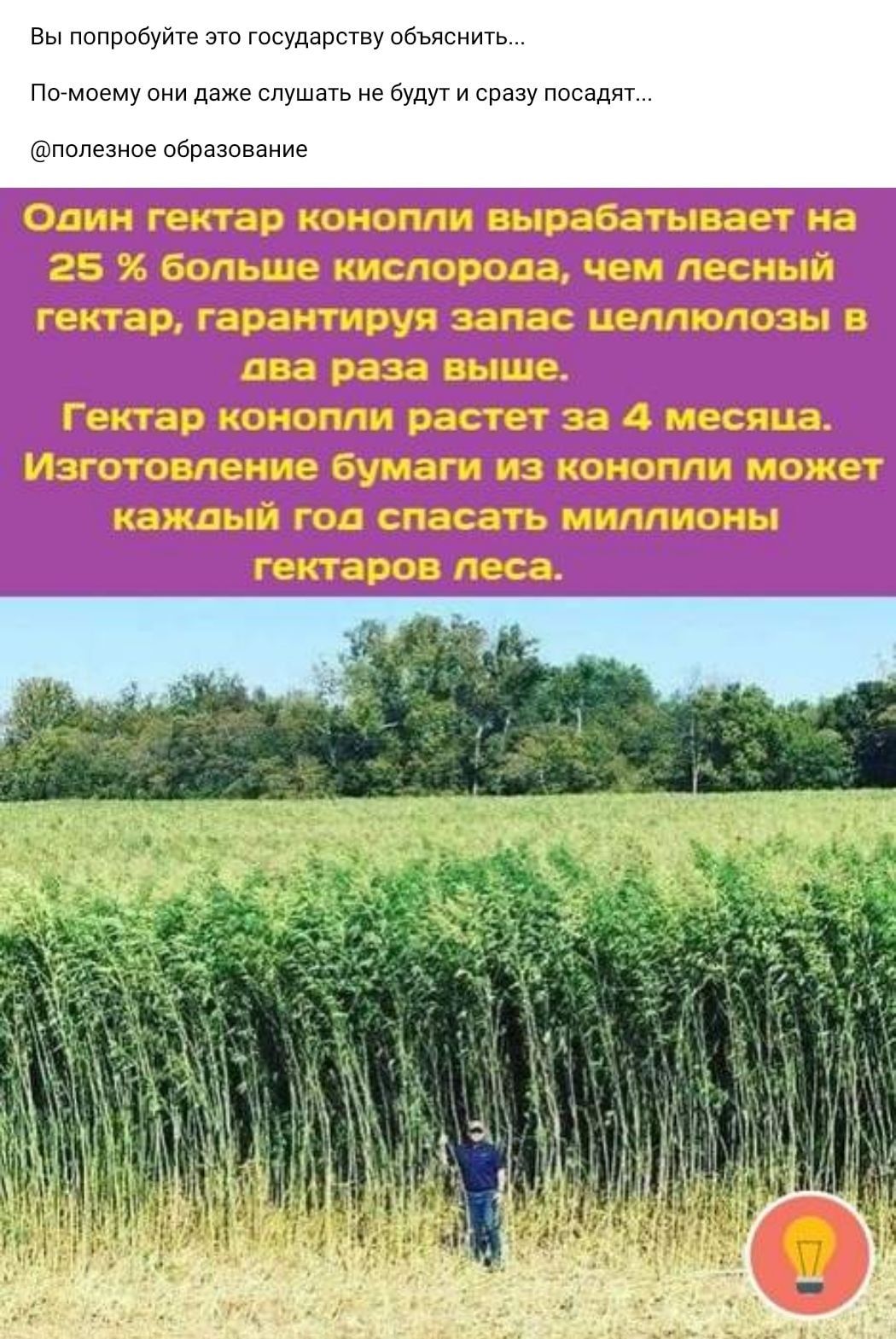 Вы попробуйте это государству объяснить Помоему они даже слушать не будут и сразу посадят попезное образование