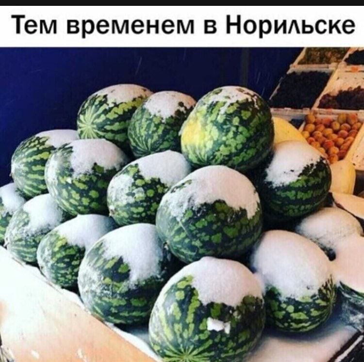 Тем временем в Нормьске мг