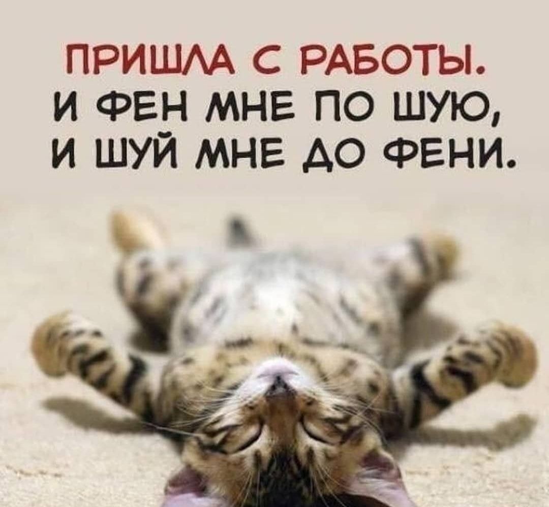 ПРИШАА С РАБОТЫ И ФЕН МНЕ ПО ШУЮ И ШУЙ МНЕ АО ФЕНИ