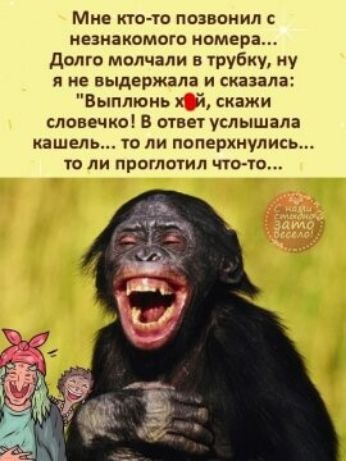 Мже то то позвонил незнакомого номера Долго молчали в трубку ну я не выдержала и сказала ыппюиь й скажи словечко В отвеч услышала кашель тли поперхнулись то ли праглшил что ю