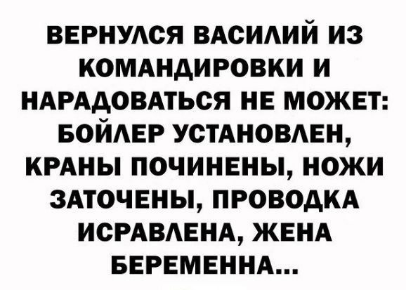 ВЕРНУАСЯ ВАСИАИЙ ИЗ КОМАНДИРОВКИ И НАРАдОВАТЬСЯ НЕ МОЖЕТ БОЙЕР УСТАНОВАЕН КРАНЫ ПОЧИНЕНЫ НОЖИ ЗАТОЧЕНЫ ПРОВОАКА ИСРАВАЕНА ЖЕНА БЕРЕМЕННА