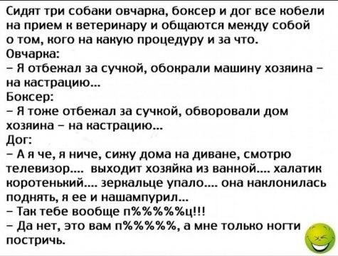 Сидят три собаки овчарка боксер и дог все кобели на прием к ветеринару и общаются между собой 0 том кого на какую процедуру и за что Овчарка Я отбежал за кучкой обокрали машину хозяина на астрацию Боксер Я тоже отбежал за сучкой обворовали дом хозяина иа кастрации даг А и че н ниче сижу дома на диване смотрю телевизор выходит хозяйка из вание халатик коротенький зеркальце упало она наклонилась под