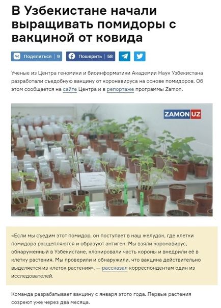 В Узбекистане начали выращивать помидоры вакциной от ковида мцщ имиибипинФстквиииАапьинауубеиисаив пылевыем сьвповит щ орвиваируса а гэмипорве он ьцш ц ша Еспи ннсщин шотгююшвп пмцмвтпиаш жепудои пикники мидраш ме шут пары вирус ну мммщм еюеь рии и пр и ми Исмаэль ш ммм идиш шпеиия л ет и пестичныечеи из гщіщшим пья и