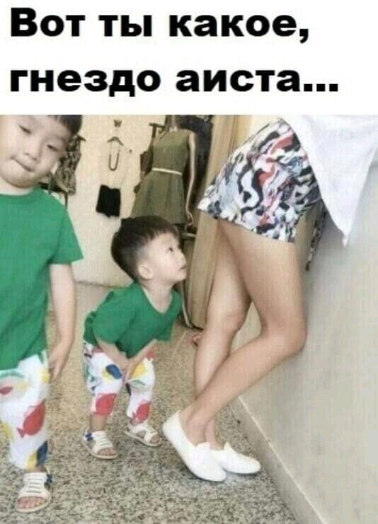 Вот ты какое гнездо аиста