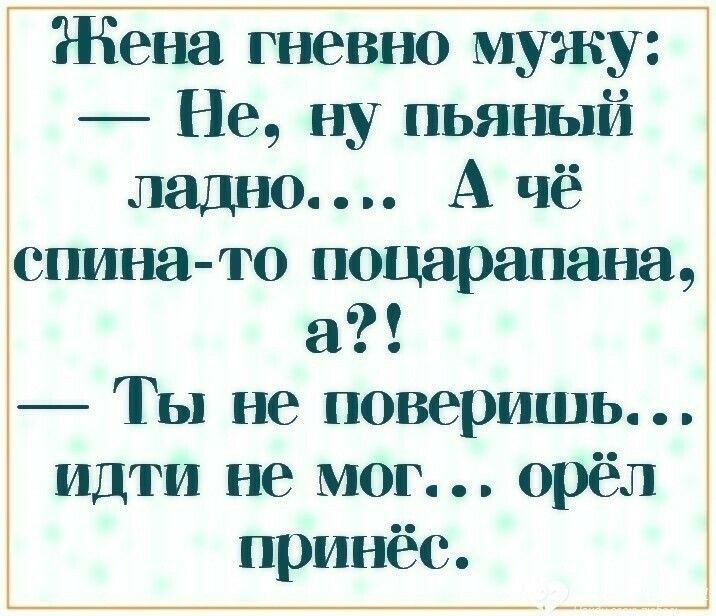 Жена гневно мужу Не ну пьяный ладно А чё спина то ноцарапана а Ты не поверишь идти не мог орёл принёс