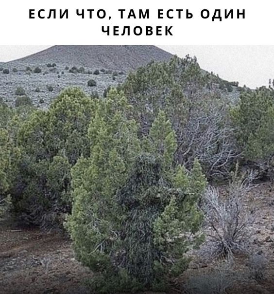ЕСЛИ ЧТО ТАМ ЕСТЬ ОДИН ЧЕЛОВЕК