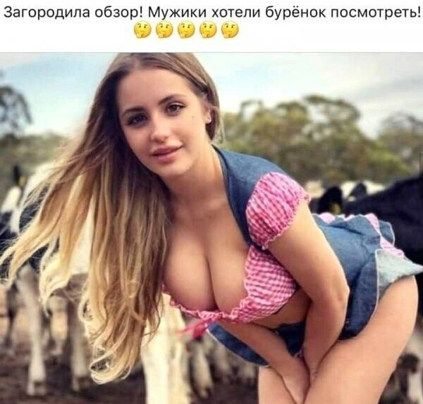 Загородипа обзор Мужики хотели бурёнок посмотреть