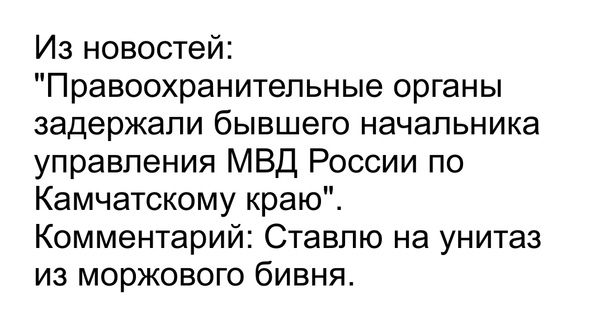 Из новостей Правоохранитепьные органы задержали бывшего начальника управления МВД России по Камчатскому краю Комментарий Ставлю на унитаз из моржового бивня