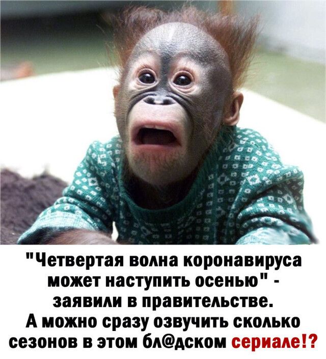 _ Четвертая волна коронавируса может наступить осенью заявили в правительстве А можно сразу озвучить сколько сезонов в этом 6Адском сериале