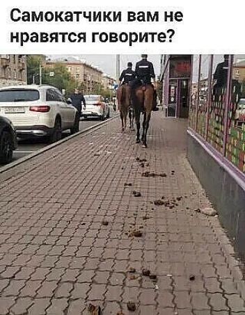Самокатчики вам не нравятся говорите