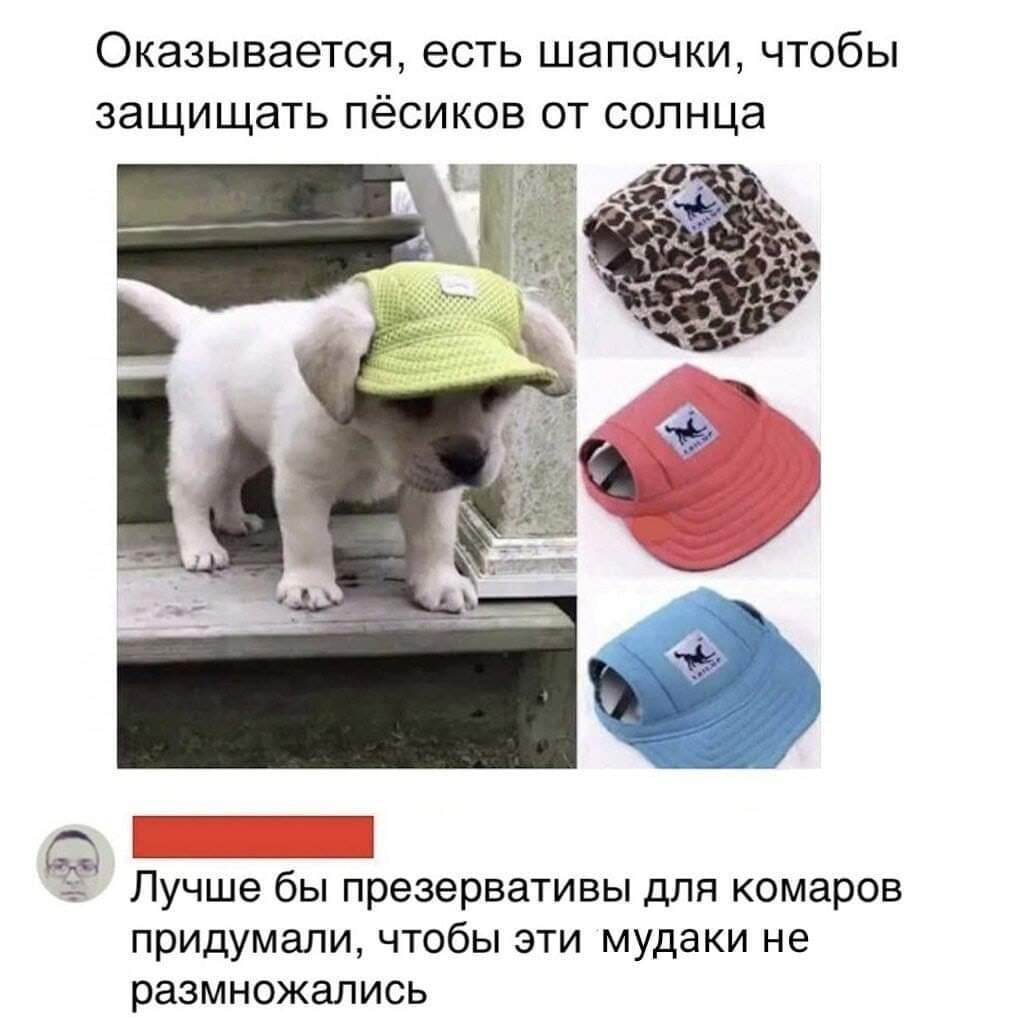 Оказывается есть шапочки чтобы защищать пёсиков от солнца 1 Лучше бы презервативы для комаров придумали чтобы эти мудаки не размножались