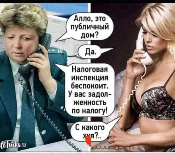Аплоэто публичный дом Налоговая инспекция беспокоит Увасзадоп женность