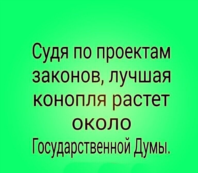 Судя по проектам законов лучшая конопля растет около Государственной Думы