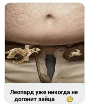 Леопард уже никогда не догонит зайца
