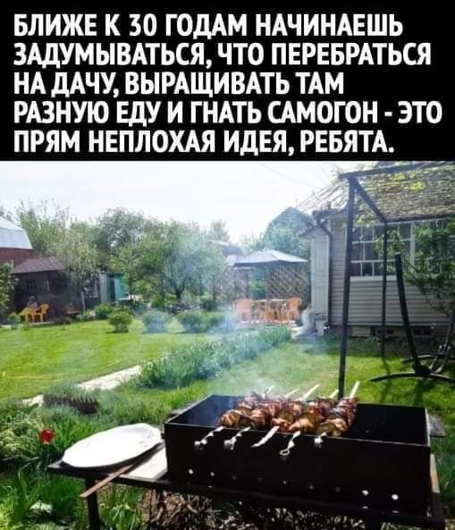 БЛИЖЕ К 30 ГОДАМ НАЧИНАЕШЬ 3АДУМЫВАТЬСЯ ЧТО ПЕРЕБРАТЬСЯ НА дАЧУ ВЫРАЩИВАТЬ ТАМ РАЗНУЮ ЕдУ И ГНАТЬ САМОГОН ЭТО ПРЯМ НЕПЛОХАЯ ИДЕЯ РЕБЯТА