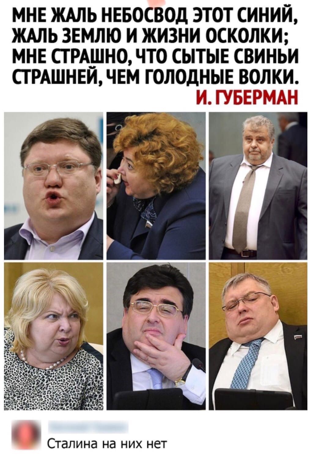 МНЕ ЖАЛЬ НЕБОСВОД ЭТОТ СИНИЙ ЖАЛЬ ЗЕМЛЮ И ЖИЗНИ ОСКОЛКИ МНЕ СТ РАШНО ЧТО СЫТЫЕ СВИНЬИ СГРАШНЕЙ ЧЕМ Г ОЛОДНЫЕ ВОЛКИ П и СШ СТдЛИНд Нд НИХ нет