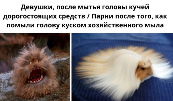 девушки ПОСЛЕ МЫТЬЯ ГОЛОВЫ кучей дОРОГОСТОЯЩИХ СРЕДСТВ ПЗРНИ ПОСЛЕ ТОГО КЭК ПОМЫЛИ ГОЛОВУ КУСКОМ ХОЗЯЙСТВЕННОГО мыла