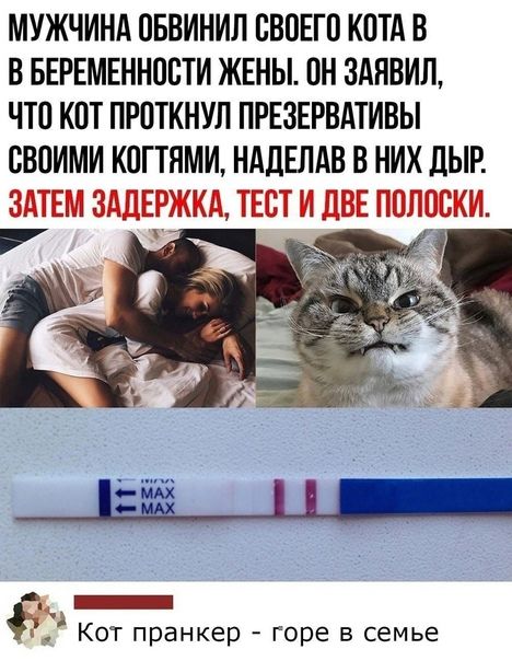 МУЖЧИНА ПБВИНИЛ ВВПЕГП КПТА В В БЕРЕМЕННОСТИ ЖЕНЫ ПН ЗАНВИЛ ЧТО КВТ ПРПТКНУЛ ПРЕЗЕРВАТИВЫ СВОИМИ КПГТНМИ НАДЕЛАВ В НИХ дЫР Кот пранкер горе в семье