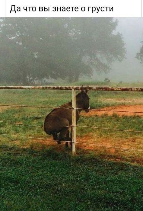 Да ЧТО ВЫ знаете О грусти _