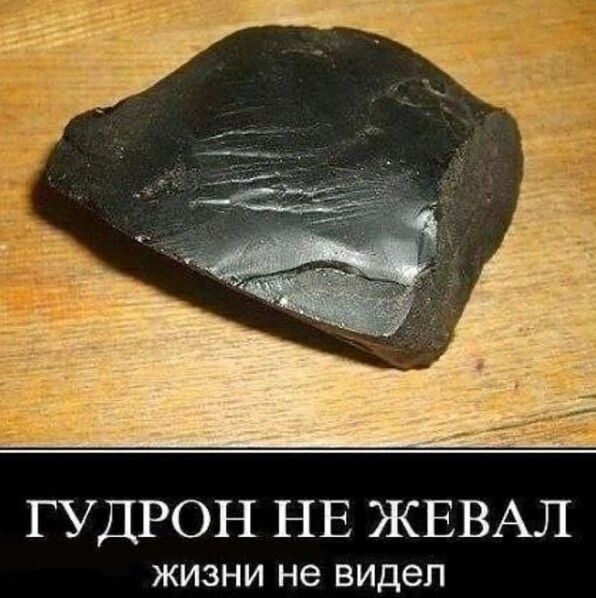 ГУДРОН НЕ ЖЕВАЛ ЖИЗНИ не видел