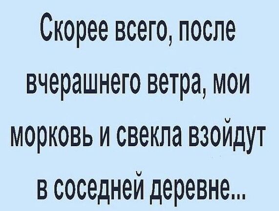 Скорее всего после вчерашнего ветра мои морковь и свекла взойдут в соседней деревне