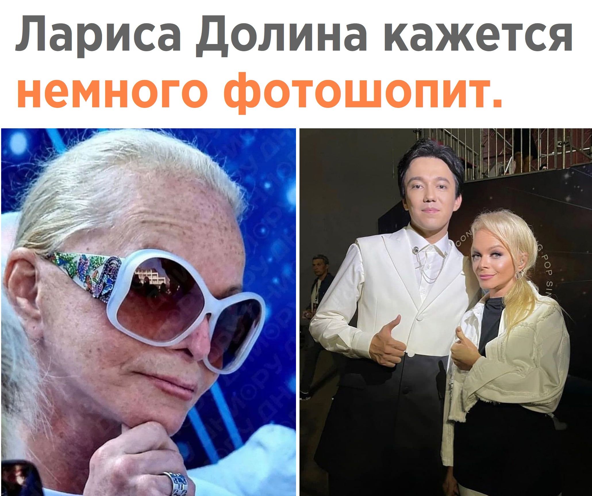Лариса Долина кажется