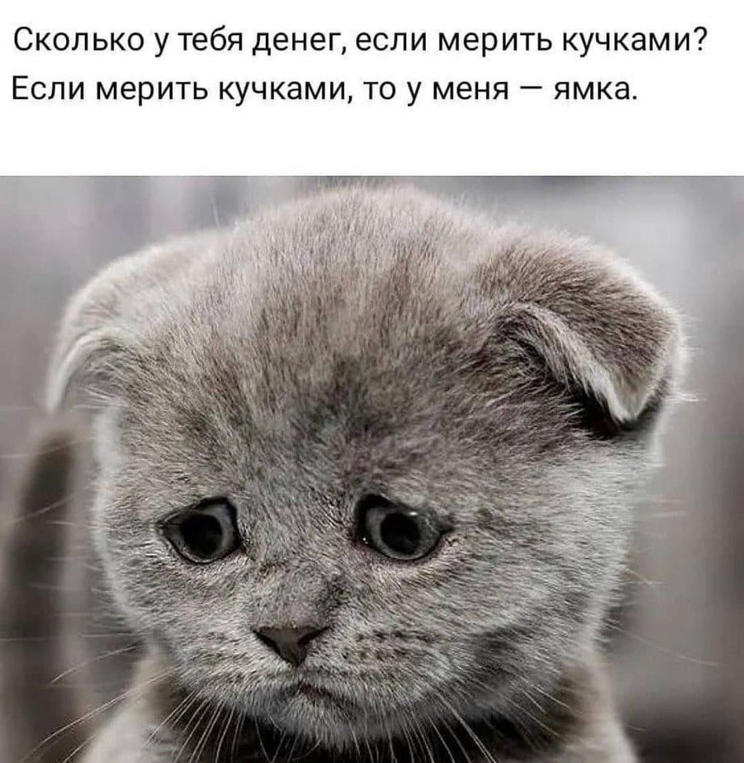 Сколько у тебя денег если мерить кучками Если мерить кучками то у меня ямка