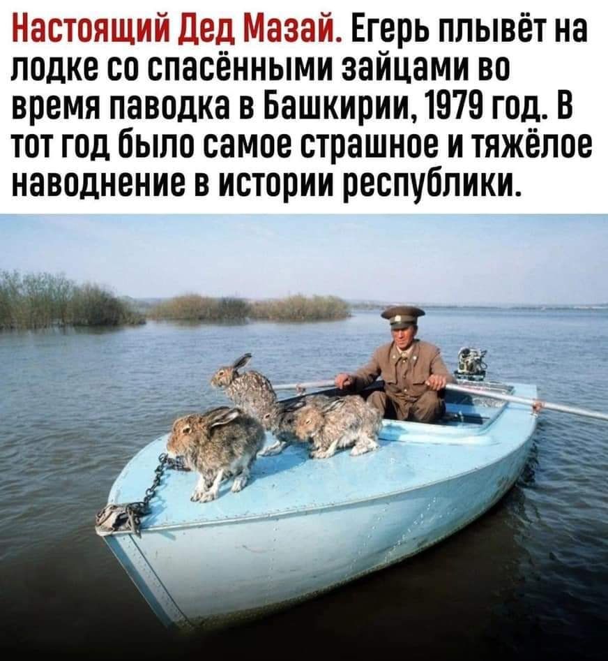 Настоящий Дед Мазай Егерь плывёт на лодке со спасёнными зайцами во время паводка в Башкирии 1979 год В тот год было самое страшное и тяжёлое наводнение в истории республики