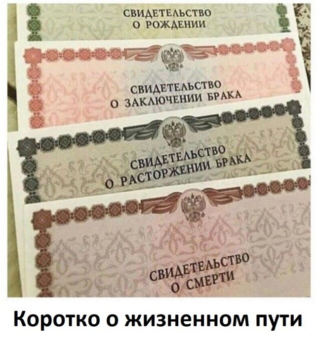 свидвтыъство 21 1 о рождвнии 23 _ а та _ _ а Ё свидетыьство _ 1 о зжьючвнии впн КОРОТКО О ЖИЗНВННОМ ПУТИ