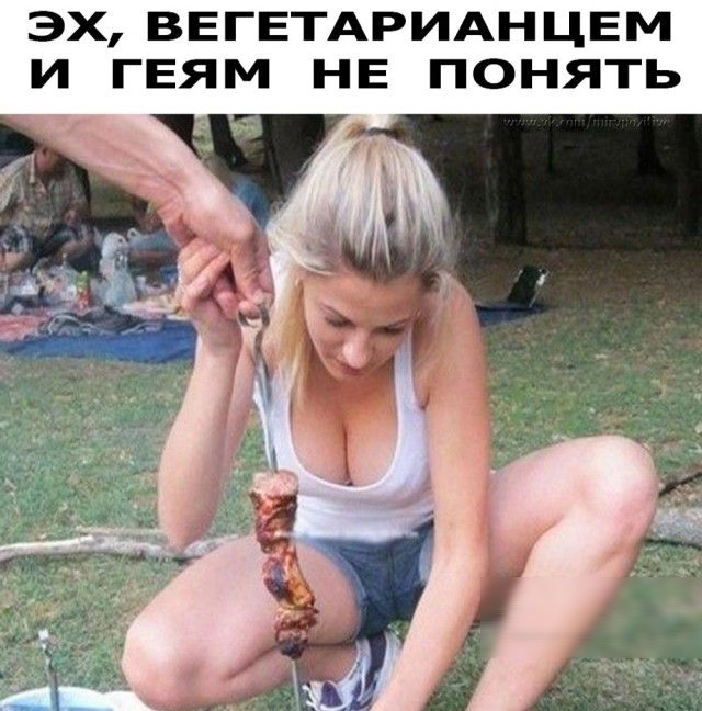 ЭХ ВЕГЕТАРИАНЦЕМ И ГЕЯМ НЕ ПОНЯТЬ